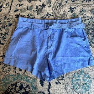 A New Day Belted Blue Shorts Size 20